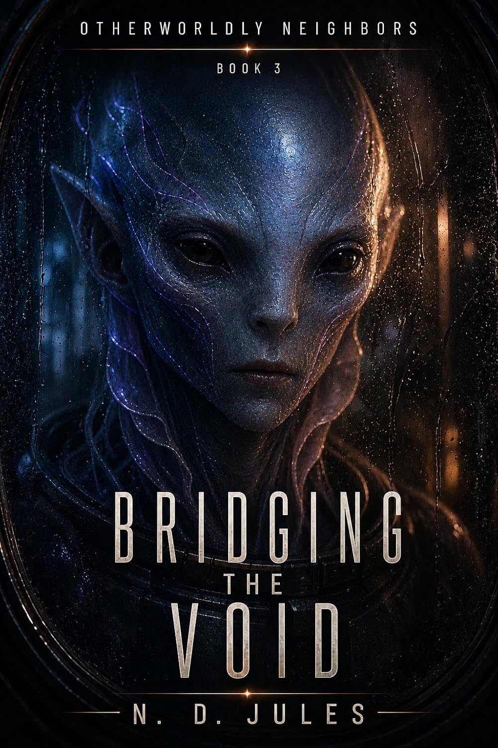 Cover of BRIDGING THE VOID